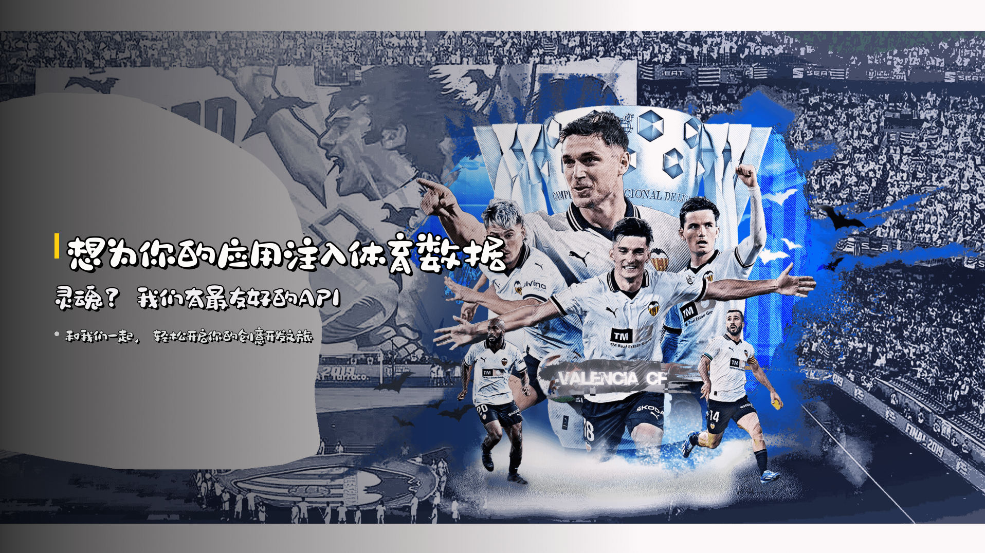 想为你的应用注入<strong>体育数据灵魂</strong>？我们有最友好的API